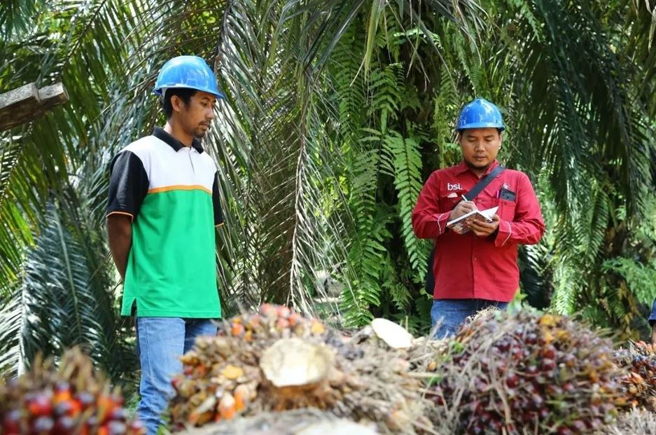 R&D Web Asian Agri sebagai Ruang Strategis Inovasi, Eksperimen, dan Arah Masa Depan